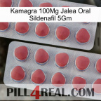 Kamagra 100Mg Oral Jelly Sildenafil 5Gm 19